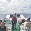 Fast Boat Fast Boat