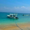 NUSA PENIDA FULL ONE TRIP PACKAGE C (Sharing) NUSA PENIDA FULL ONE TRIP PACKAGE C (Sharing)