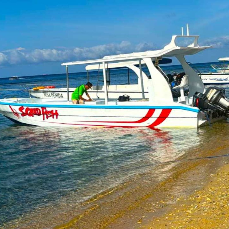NUSA PENIDA FULL ONE TRIP PACKAGE C (Sharing) NUSA PENIDA FULL ONE TRIP PACKAGE C (Sharing)