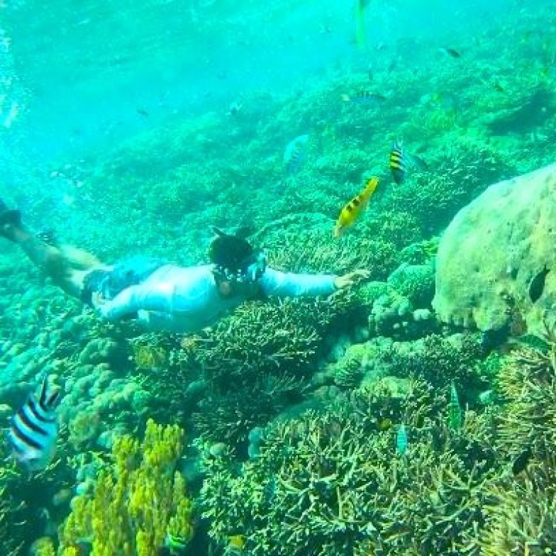 NUSA PENIDA FULL ONE TRIP PACKAGE C (Sharing) NUSA PENIDA FULL ONE TRIP PACKAGE C (Sharing)