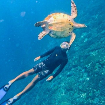 NUSA PENIDA FULL DAY TRIP PACKAGE A (Private)