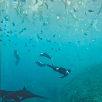 NUSA PENIDA FULL DAY TRIP PACKAGE B (Private)