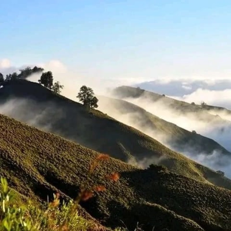 Crater rim, Sembalun Without Summit 2D2N Crater rim, Sembalun Without Summit 2D2N