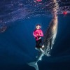 Whaleshark Tour 2D1N Whaleshark Tour 2D1N