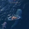 Whaleshark Tour 2D1N Whaleshark Tour 2D1N