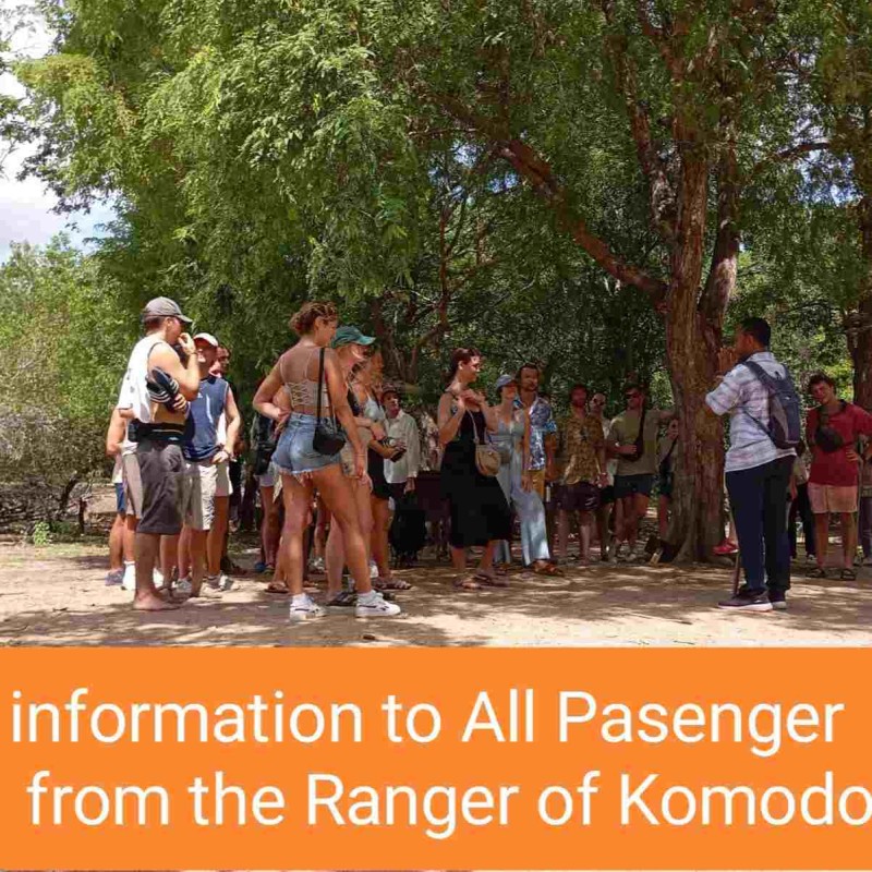 Open Trip Komodo 4D3N from Lombok Open Trip Komodo 4D3N from Lombok