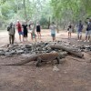 Open Trip Komodo 4D3N from Lombok Open Trip Komodo 4D3N from Lombok
