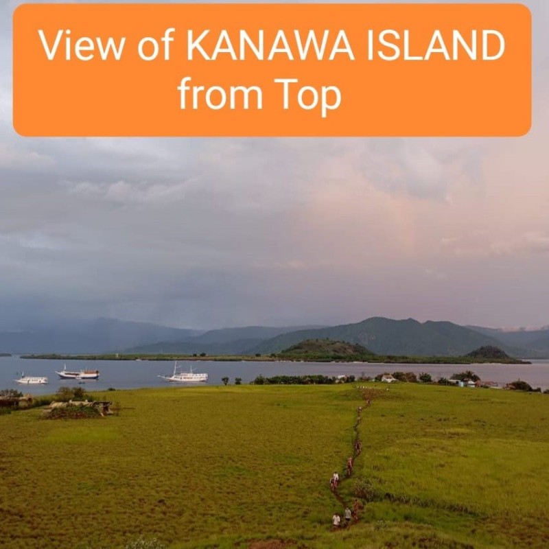 Open Trip Komodo 4D3N from Lombok Open Trip Komodo 4D3N from Lombok
