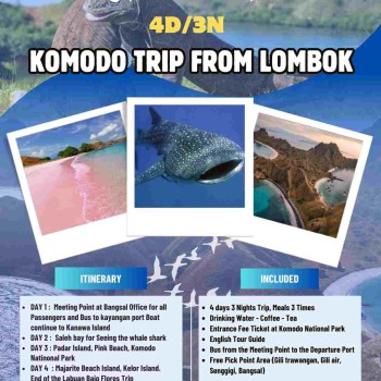 Open Trip Komodo 4D3N from Lombok