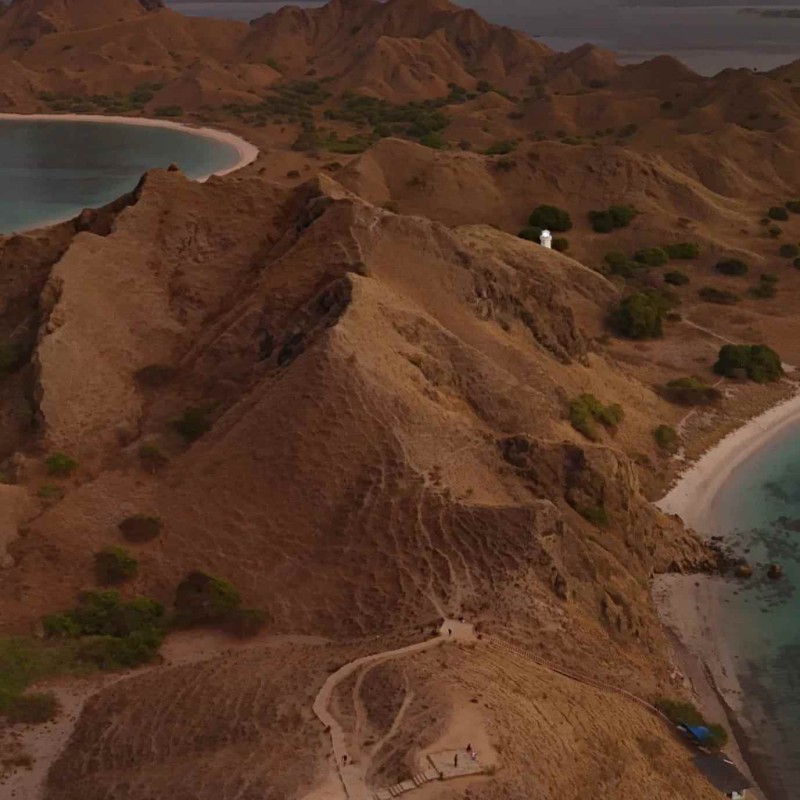 Open Trip Komodo 4D3N from Lombok Open Trip Komodo 4D3N from Lombok