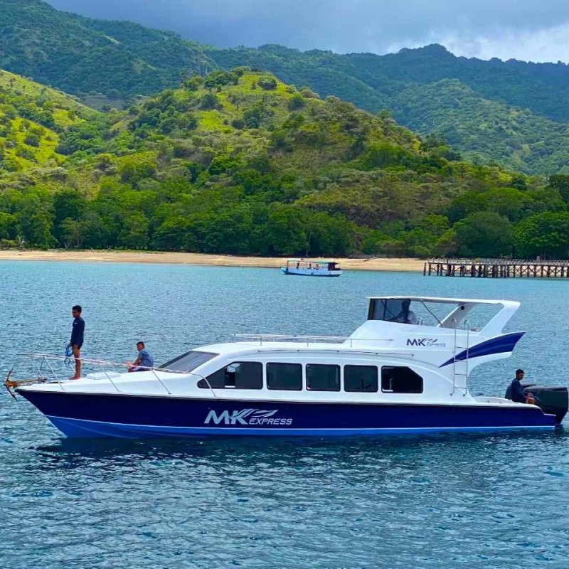 A DAY TRIP KOMODO with SPEEDBOAT from LABUAN BAJO A DAY TRIP KOMODO with SPEEDBOAT from LABUAN BAJO