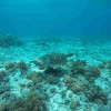 Gili Trawangan Snorkling Gili Trawangan Snorkling