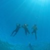 Gili Trawangan Snorkling Gili Trawangan Snorkling