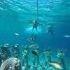 Gili Trawangan Snorkling Gili Trawangan Snorkling