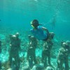 Gili Trawangan Snorkling Gili Trawangan Snorkling