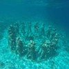 Gili Trawangan Snorkling Gili Trawangan Snorkling